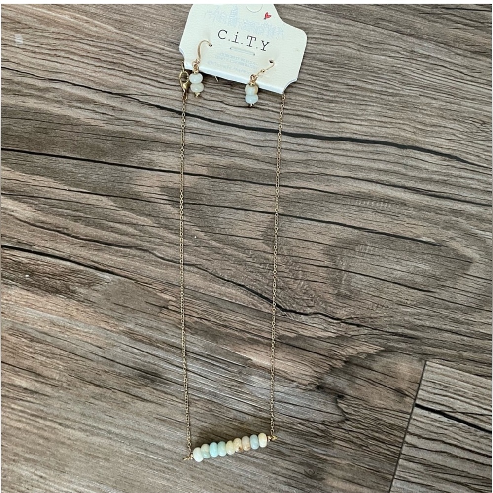 🤩 $5 SALE! 🤩 NWT C.I.T.Y necklace and earrings set